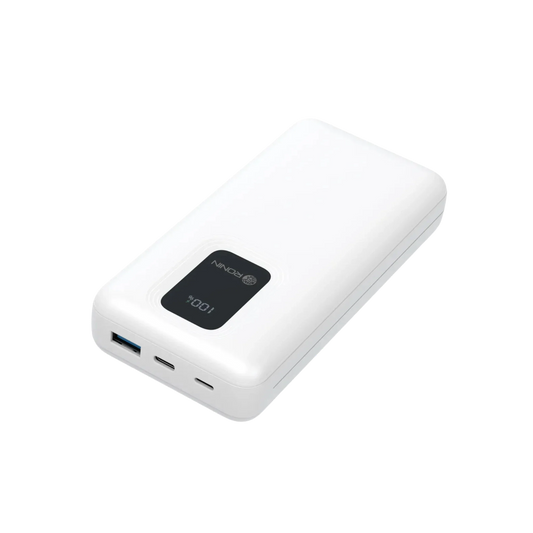 Ronin R-4025 20000mAh Power Bank